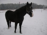 /album/zima/dan-jpg/