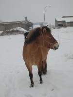 /album/zima/lada-jpg1/