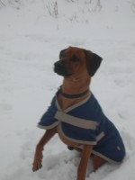 /album/zima/sam-jpg/